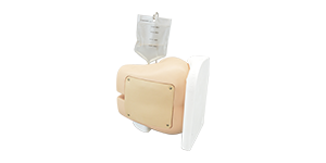 Photo of Lumbar Puncture Simulator IIA