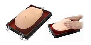 Visual-Tactile Breast Examination Simulator
