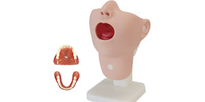 Oral Care Simulator
