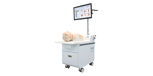 DAM Simulator-Assessment System-