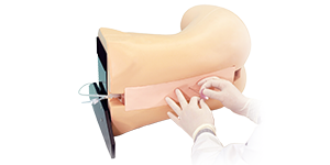 Epidural Anesthesia Simulator