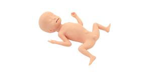 ELBW Infant Simulator