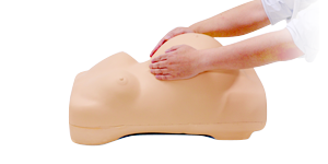 Obstetric Examination Simulator
