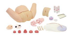 Obstetric Training Simulator