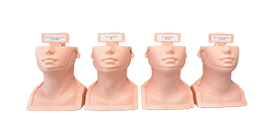 Thyroid Palpation Simulator