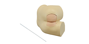 Anorectal Manometry Examination Trainer