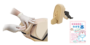 Pelvic Organ Prolapse Trainer Utena