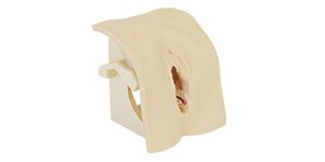 OASIS Perineorrhaphy Simulator -4th degree-