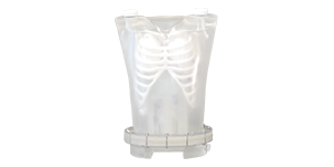 PET/SPECT Thorax Phantom