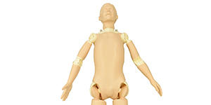 X-Ray Training Phantom PBU-POSE