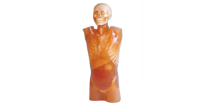 CT Torso Phantom CTU-41