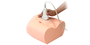 Intravesical Urine Volume Measurement Phantom