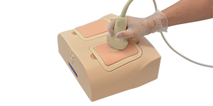 Lung Ultrasound Training Phantom ECHOLUNG