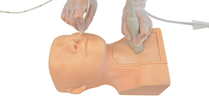 Ultrasound Guided Tube Feeding Phantom