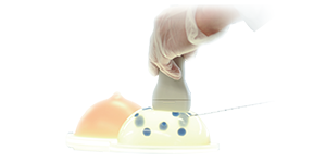 Ultrasound-Guided Breast Biopsy Phantom