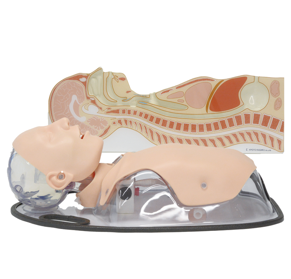 Tube Feeding Simulator PLUS (NG, OG, and PEG)