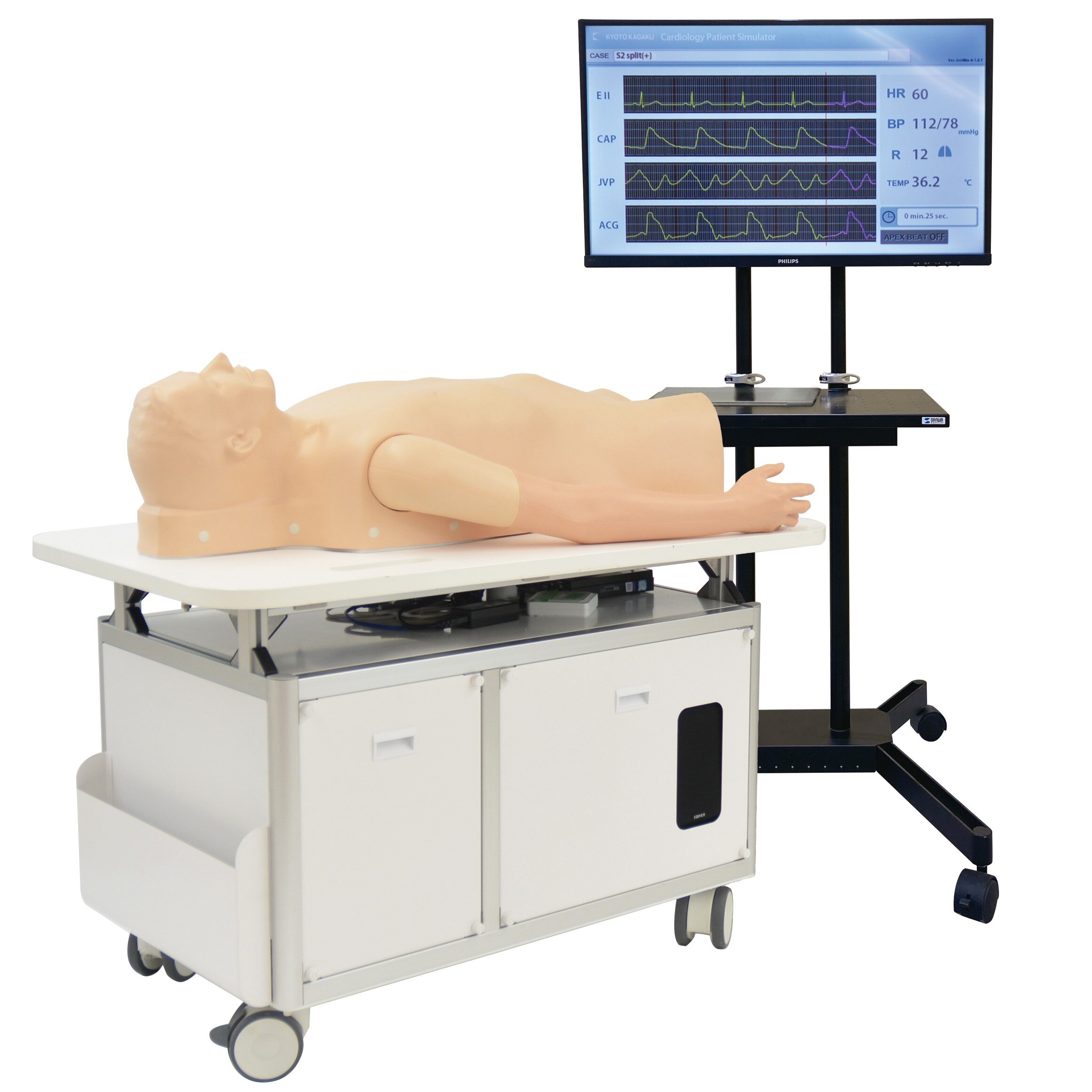 Cardiology Patient Simulator ”K” ver 2 | Heart Sounds & ECG Simulations