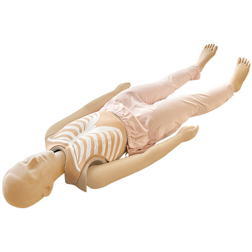 12-Lead ECG Electrode Placement Trainer