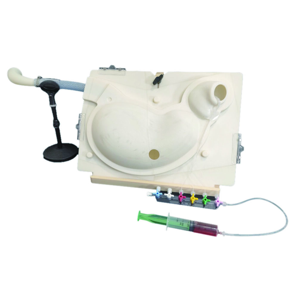 Upper Gastrointestinal Ulcer Model Endoscopic Hemostasis Simulator ”Medical Rising STAR”