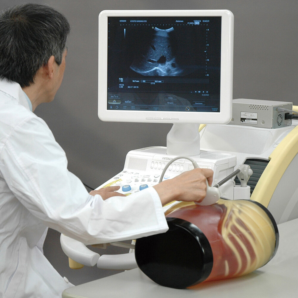 ultrasound training program