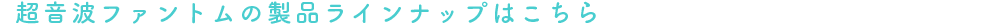 lineup_menuH25_echo.png