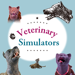 Verinary Simulators